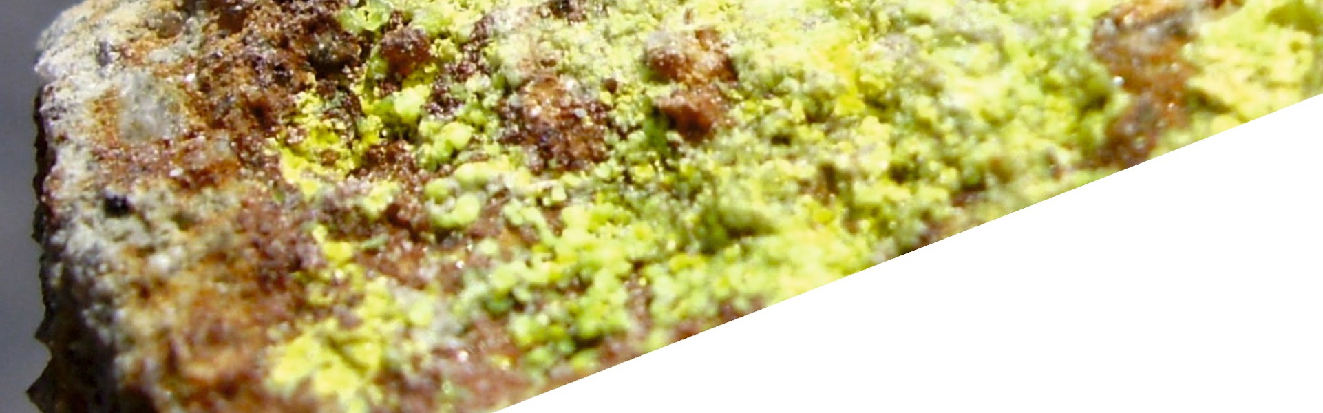 WEBSITE BACKGROUND Interior Page Image Template FIXED LINE BOTTOM MS May2022 6 (1)