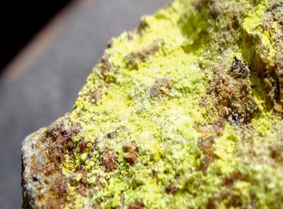 Uranium Miners Lead Market Higher