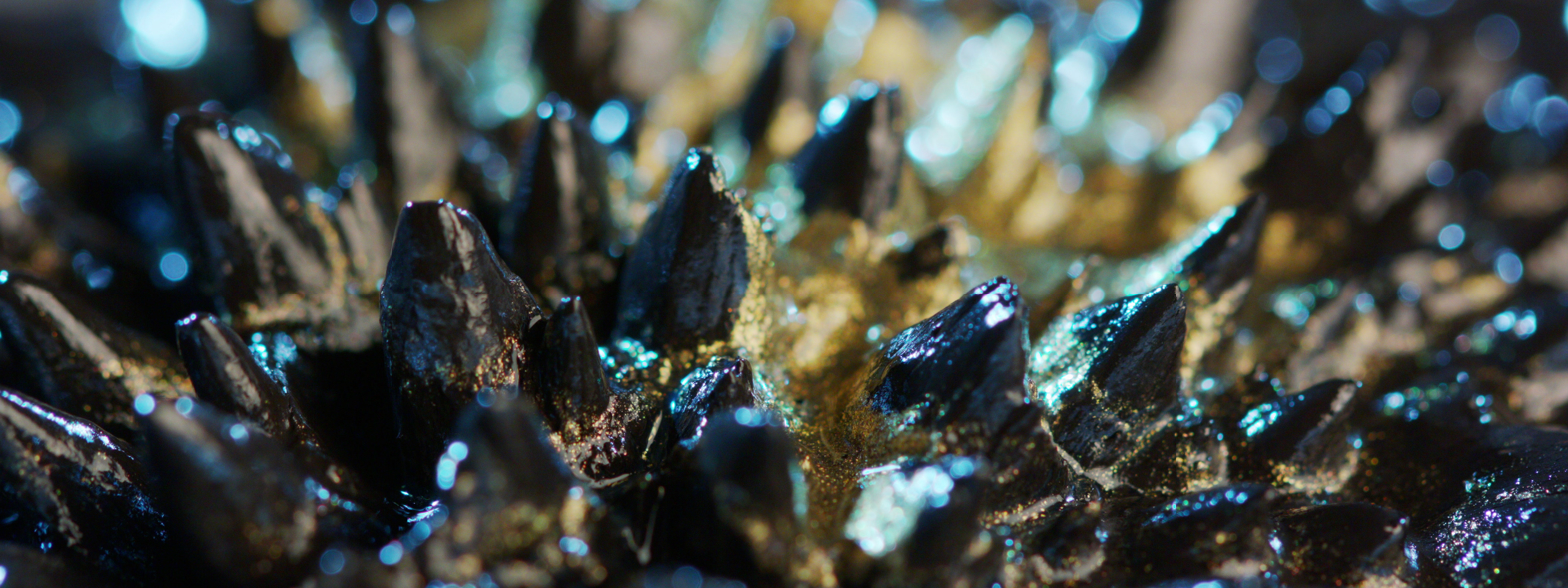 Shutterstock 1251322624