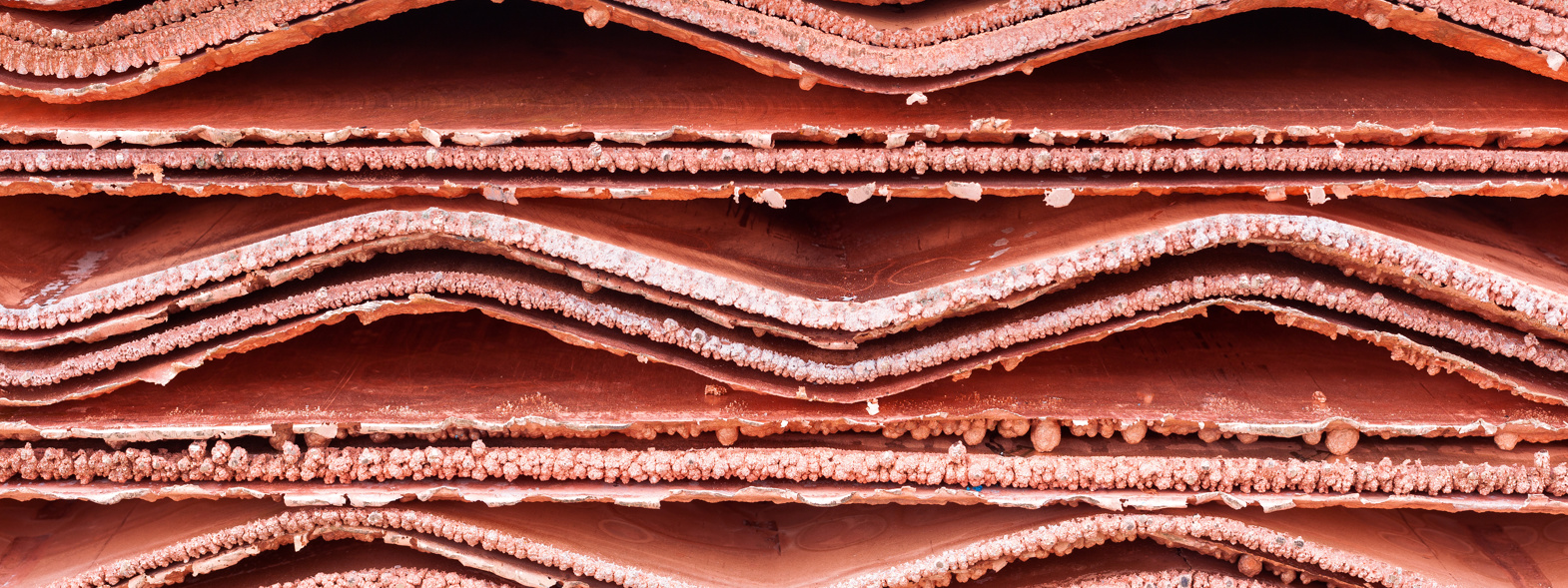 Adobestock 254668086
