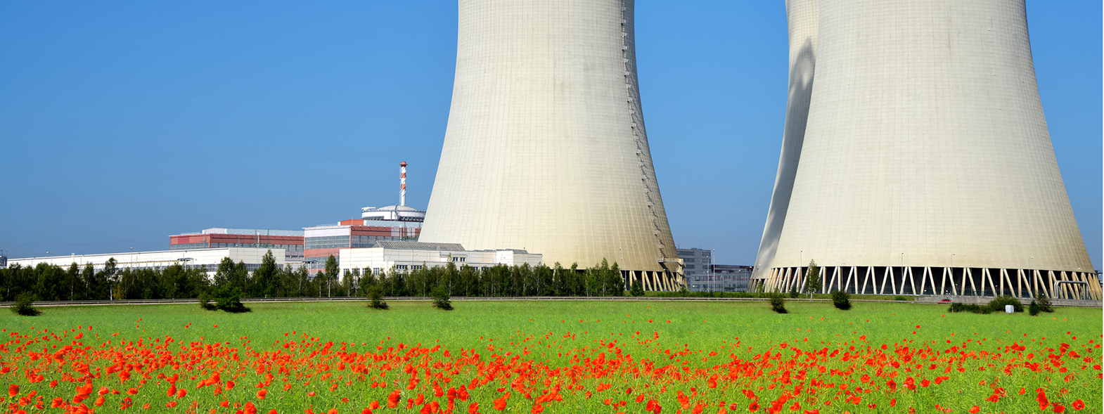 Nuclear Poppy Shutterstock 228711658
