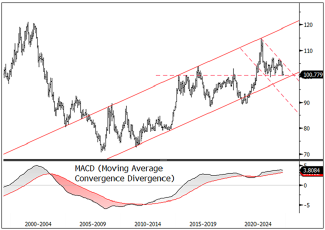 Figure 8. The DXY (U.S. Dollar Index) Sitting on Critical Support (2000-2024)