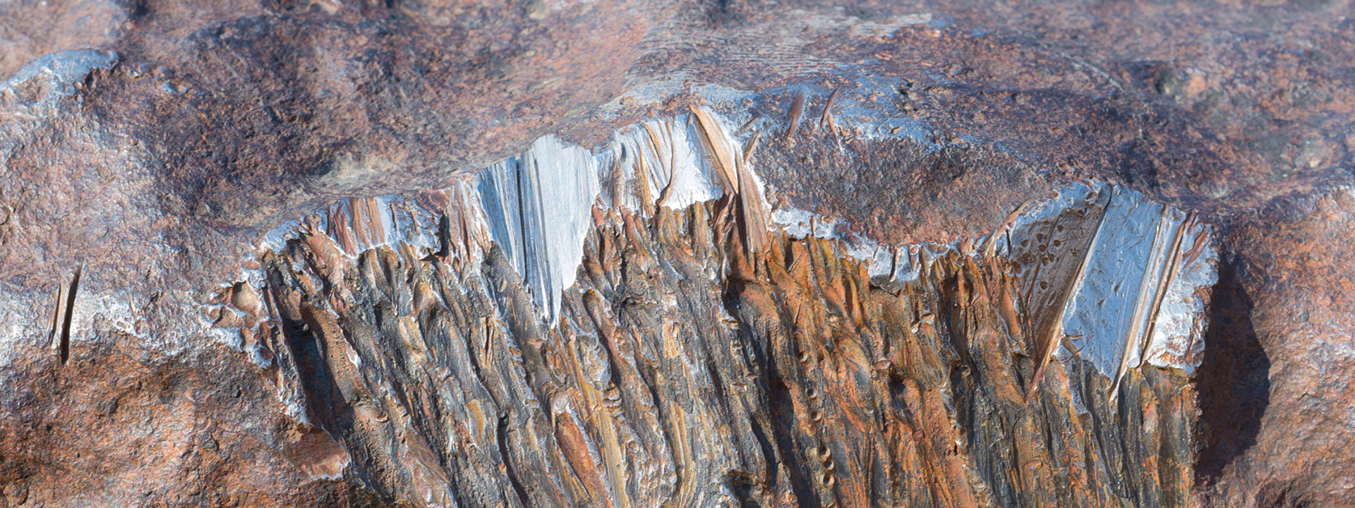 Nikl NIKL Sprott Nickel Miners ETF | Precious Metals & Critical Materials ETFs