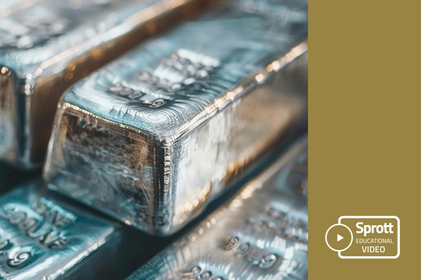 Educational Video Images 1170X862 Silver 3