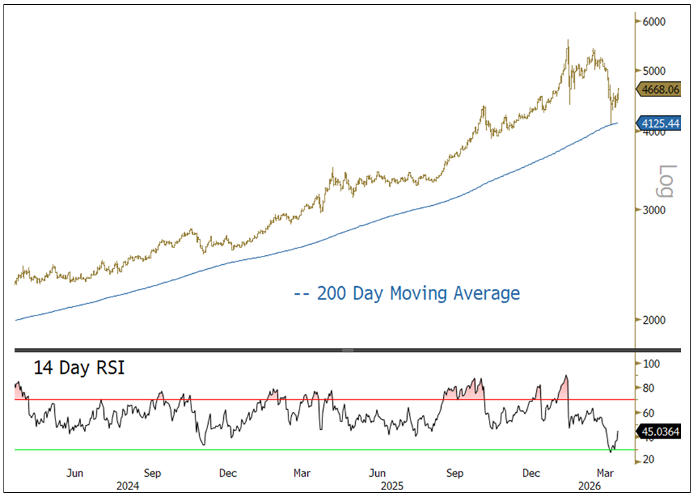 Spot Gold Performance