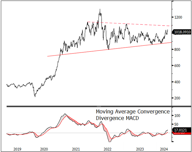 Figure 1. Nasdaq Sprott Index: Consolidation with Emerging Base (2019-2024)